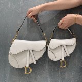 [DIOR/OC] 새들백 - 미니/미듐