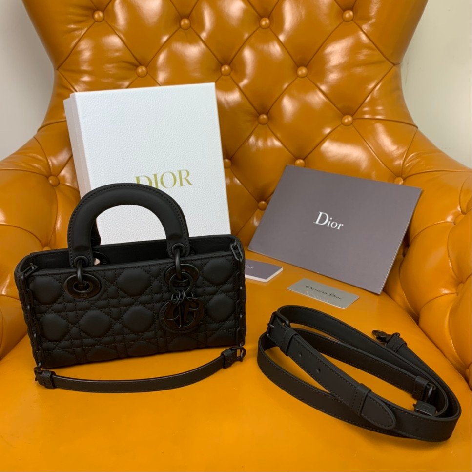 [DIOR/OC] 디올 레이디 디조이 백 (스몰)